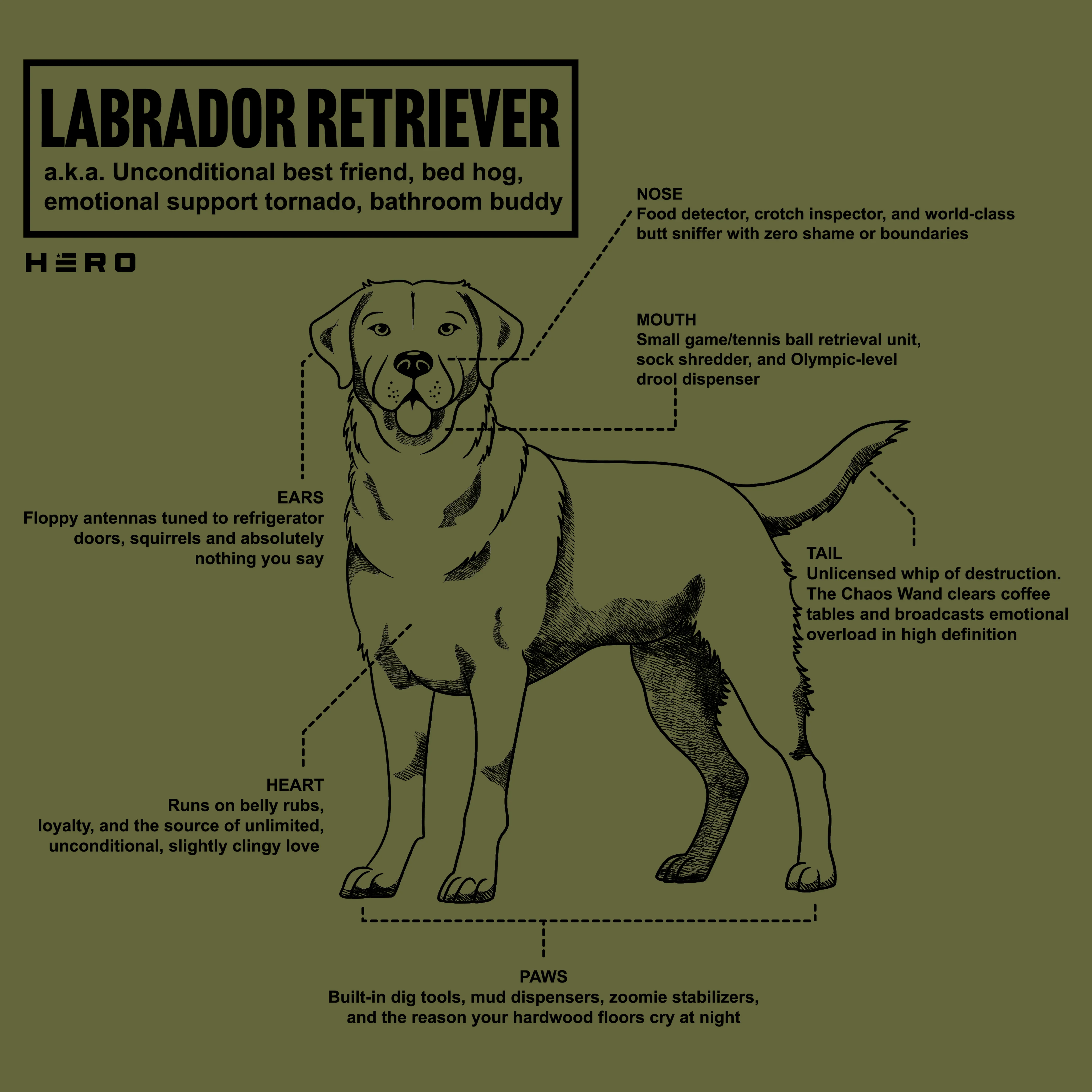Hero Company Men's Unconditional Best Friend Labrador Retriever Tee - Image 11