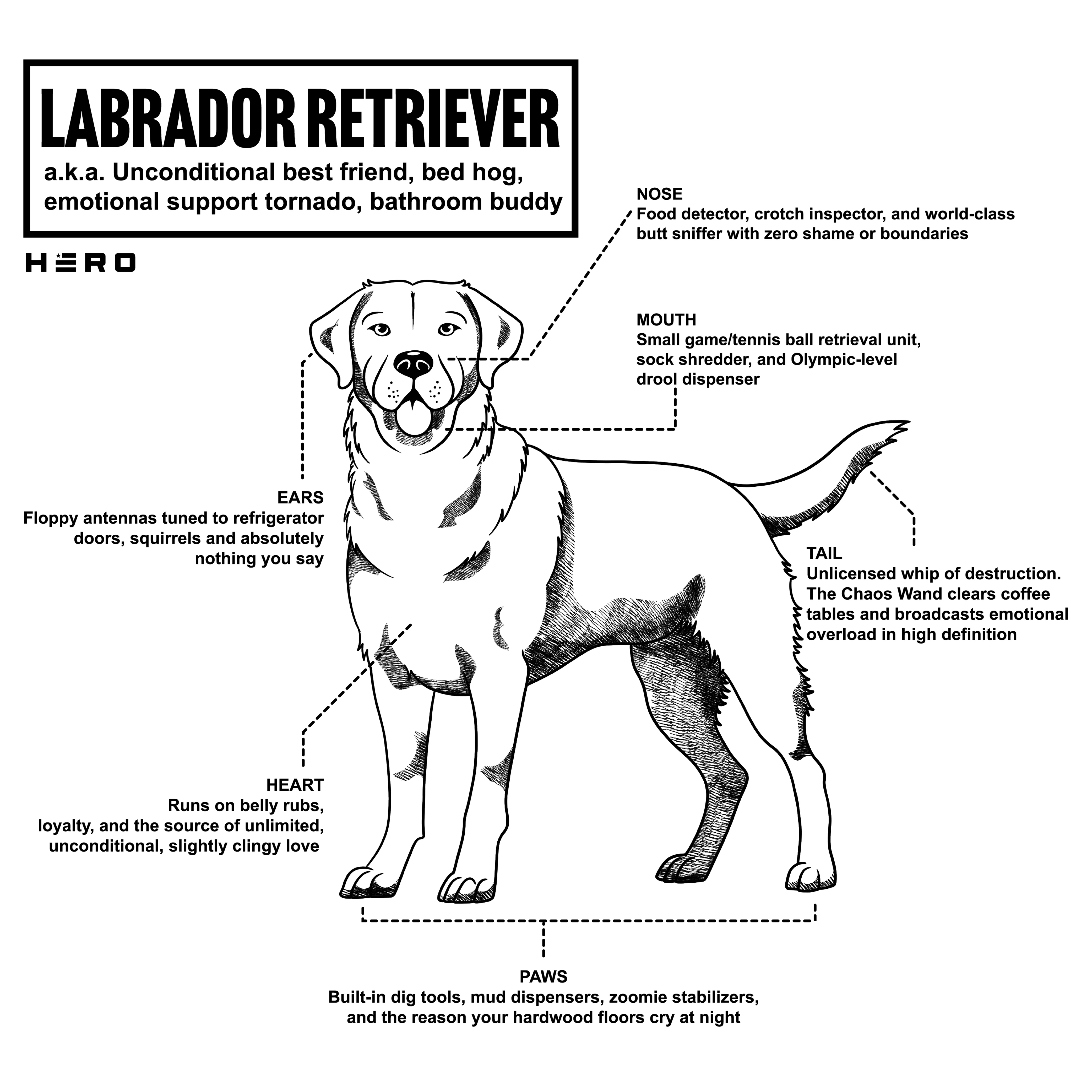 Hero Company Men's Unconditional Best Friend Labrador Retriever Tee - Image 14
