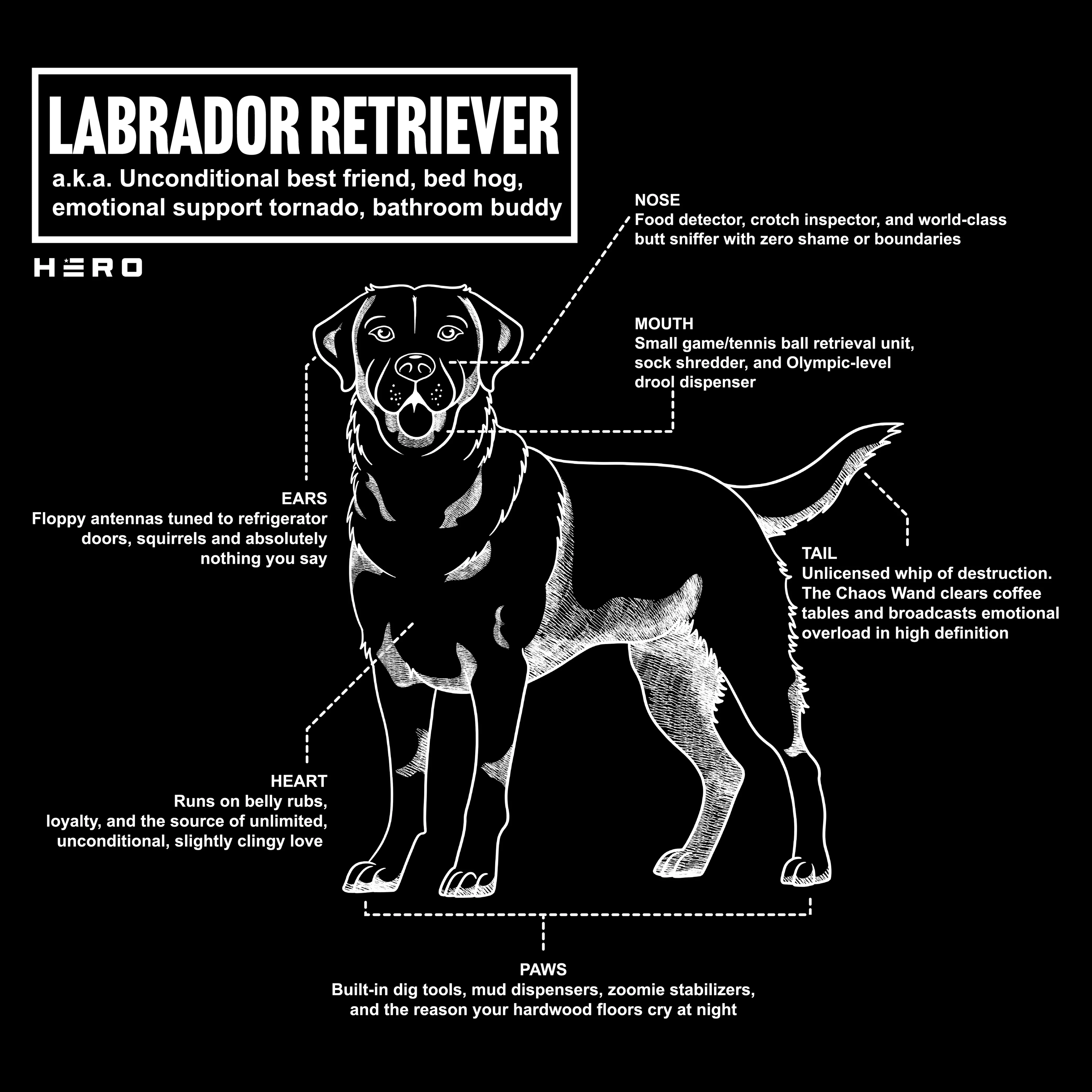 Hero Company Men's Unconditional Best Friend Labrador Retriever Tee - Image 2