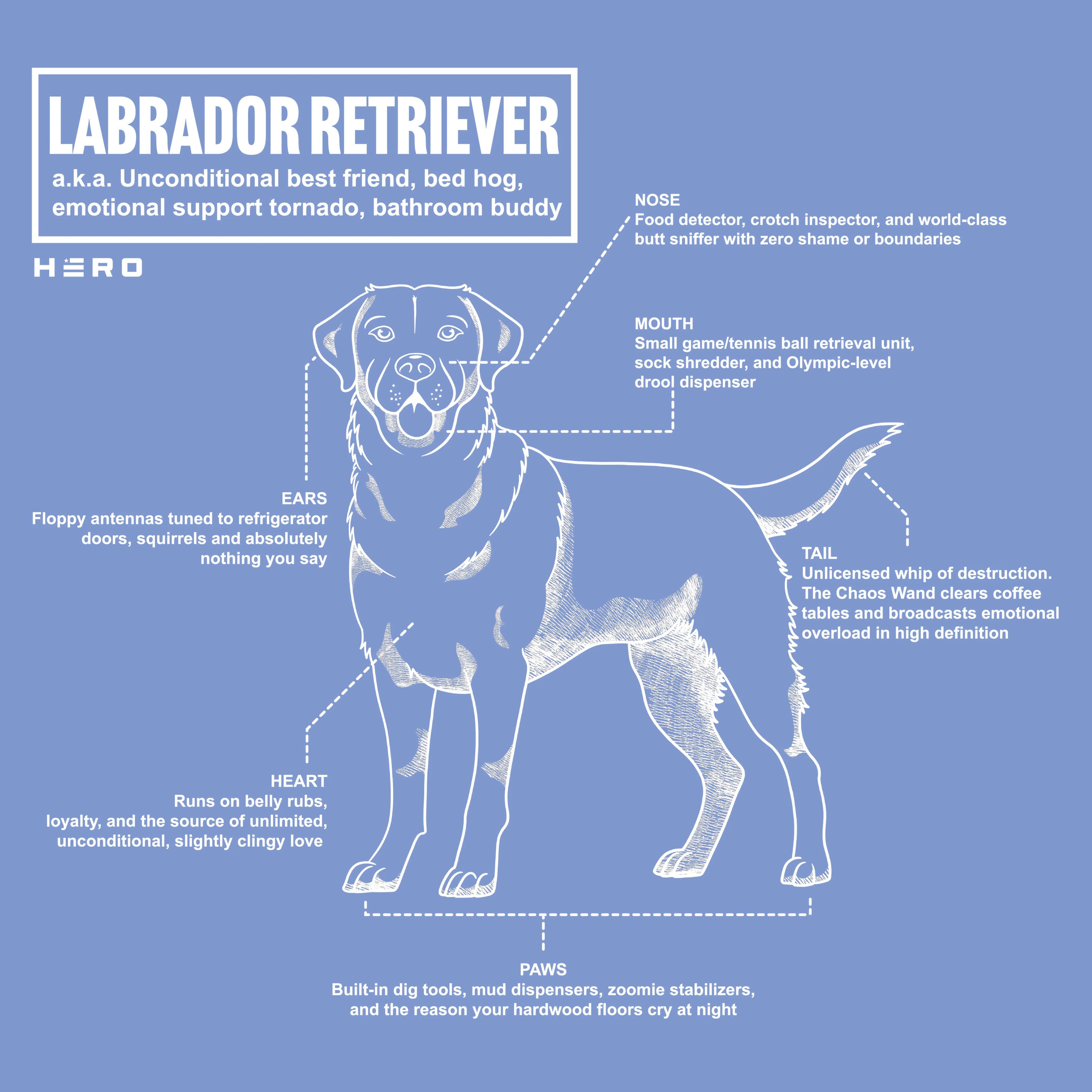 Hero Company Men's Unconditional Best Friend Labrador Retriever Tee - Image 5