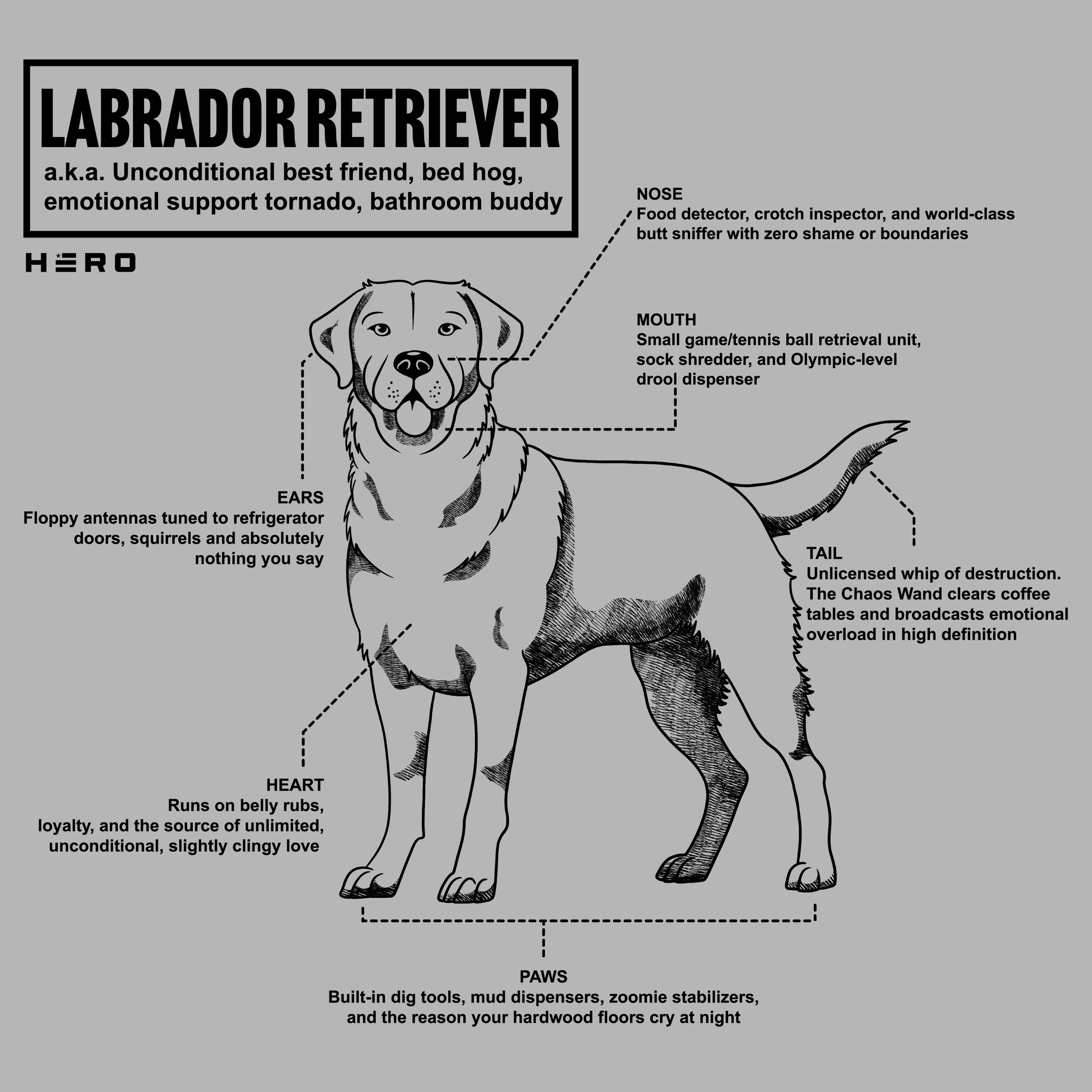 Hero Company Men's Unconditional Best Friend Labrador Retriever Tee - Image 8