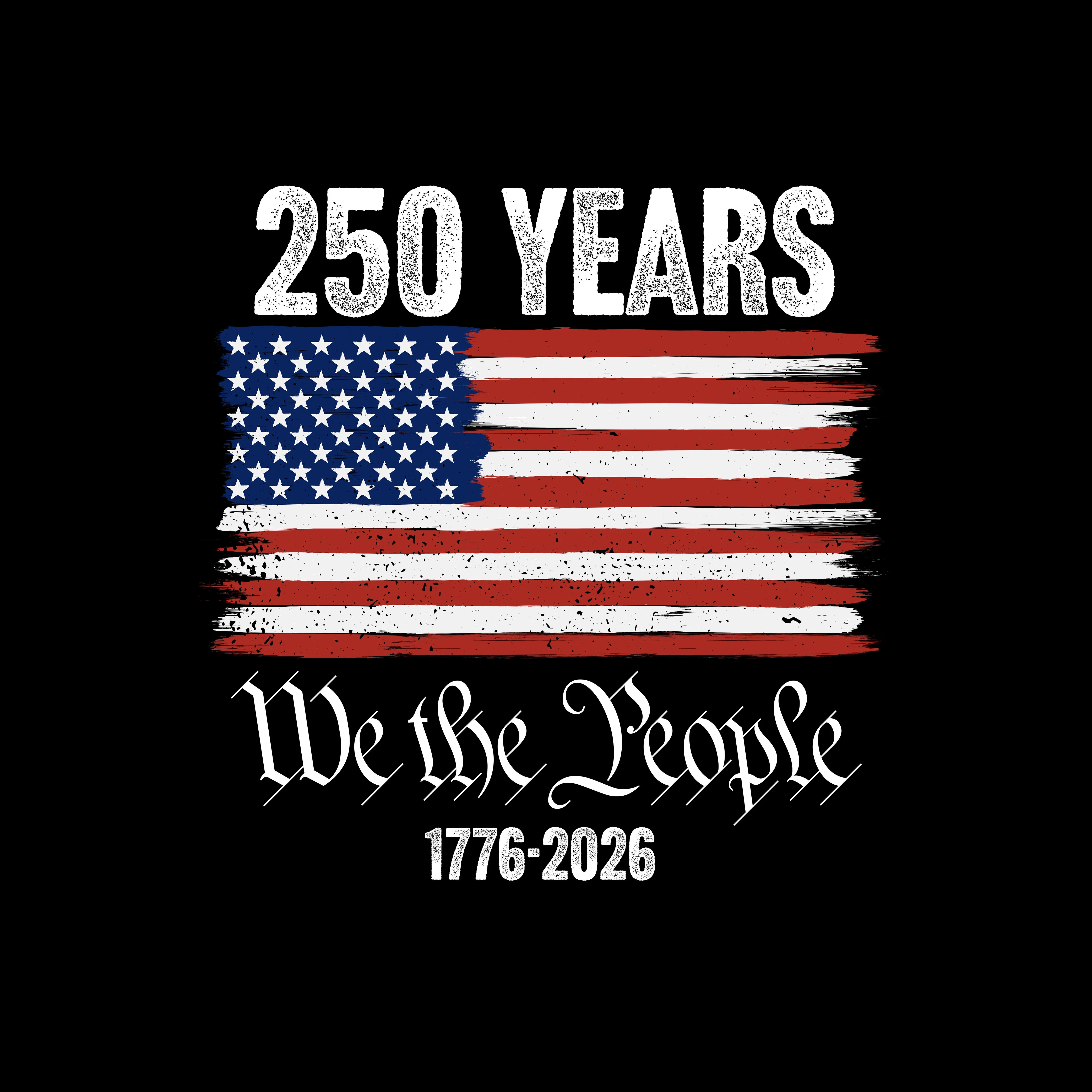 Hero Company Men's We The People 250th Anniversary Black Tee - Image 3