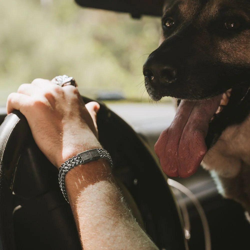Knight's Creed BELIEVE Credo Bracelet: Joshua & RJ - Image 19